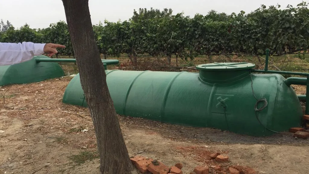Proyecto en Planta Agroindustria