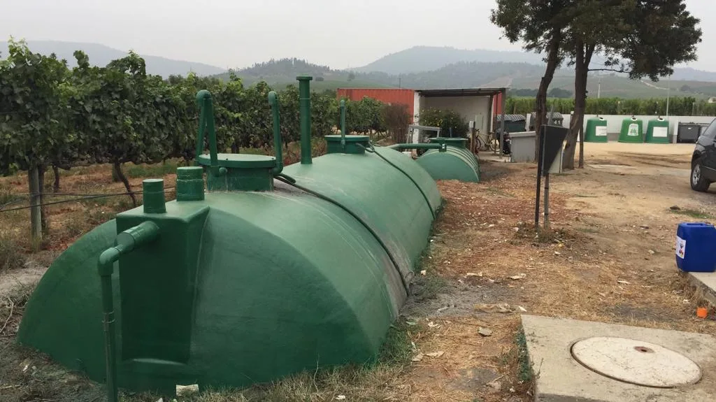 Proyecto en Planta Agroindustria